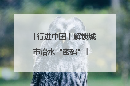 行进中国丨解锁城市治水“密码”