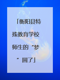 衡阳县特殊教育学校师生的“梦”圆了