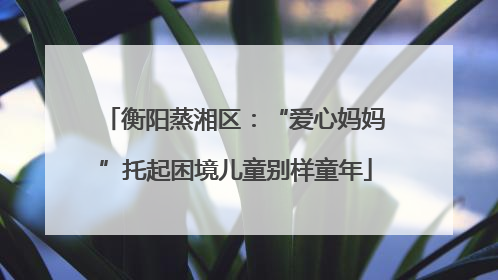 衡阳蒸湘区：“爱心妈妈”托起困境儿童别样童年