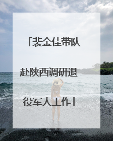 裴金佳带队赴陕西调研退役军人工作