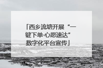 西乡流塘开展“一键下单·心愿速达”数字化平台宣传