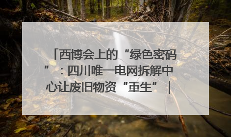 西博会上的“绿色密码”：四川唯一电网拆解中心让废旧物资“重生”｜西博寻“新”记