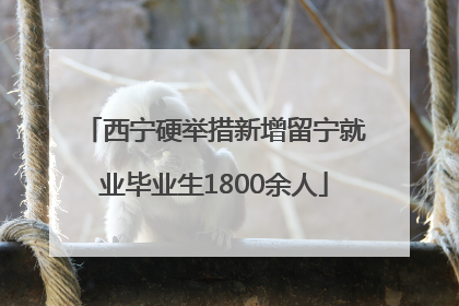 西宁硬举措新增留宁就业毕业生1800余人