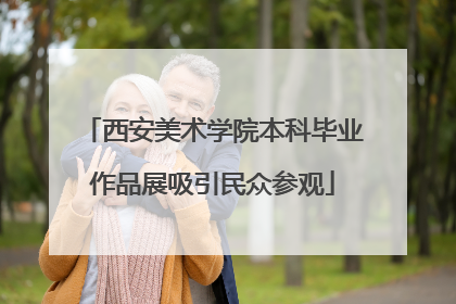 西安美术学院本科毕业作品展吸引民众参观