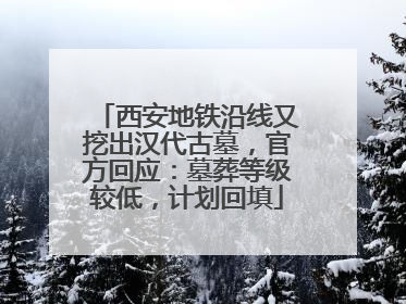 西安地铁沿线又挖出汉代古墓，官方回应：墓葬等级较低，计划回填