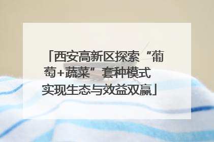 西安高新区探索“葡萄+蔬菜”套种模式 实现生态与效益双赢