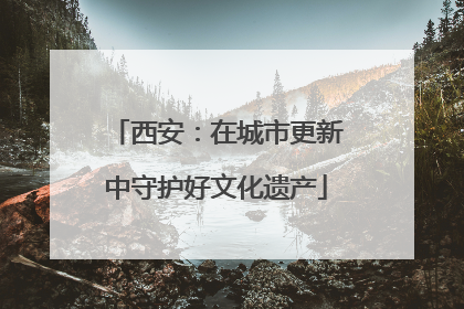 西安：在城市更新中守护好文化遗产