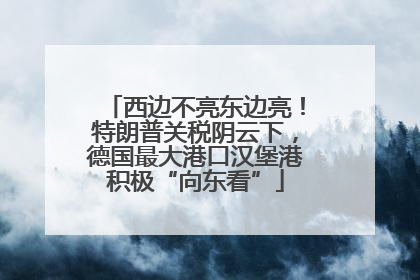 西边不亮东边亮！特朗普关税阴云下，德国最大港口汉堡港积极“向东看”