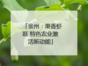 襄州：果香虾跃 特色农业激活新动能