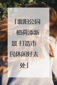 襄阳公园：植荷添新景 打造市民休闲好去处