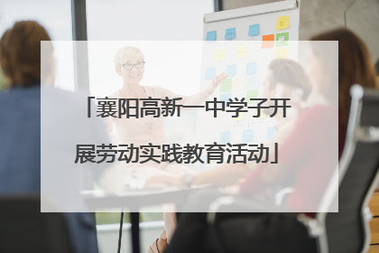 襄阳高新一中学子开展劳动实践教育活动