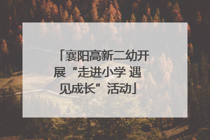 襄阳高新二幼开展“走进小学 遇见成长”活动