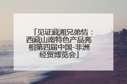 见证藏湘兄弟情：西藏山南特色产品亮相第四届中国-非洲经贸博览会