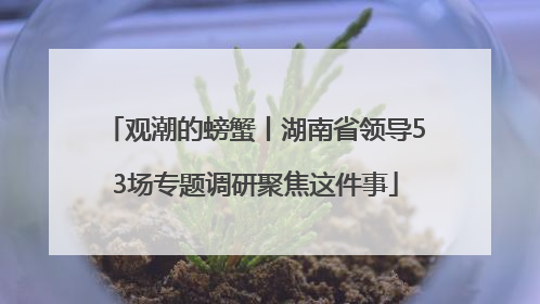 观潮的螃蟹丨湖南省领导53场专题调研聚焦这件事