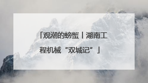 观潮的螃蟹丨湖南工程机械“双城记”