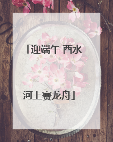 迎端午 酉水河上赛龙舟