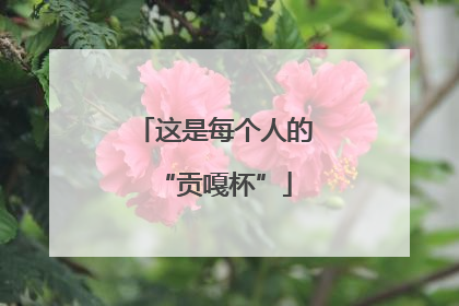这是每个人的“贡嘎杯”