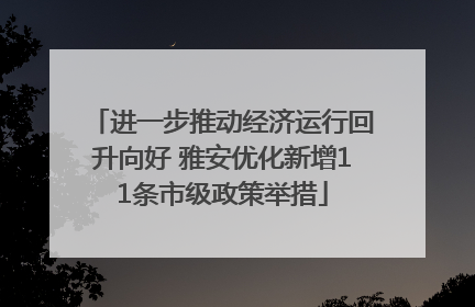进一步推动经济运行回升向好 雅安优化新增11条市级政策举措