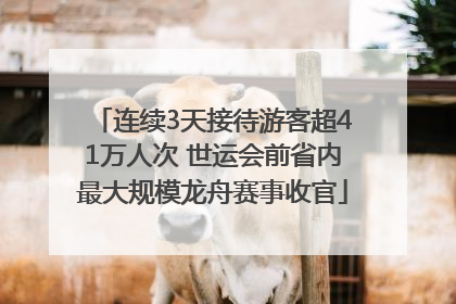 连续3天接待游客超41万人次 世运会前省内最大规模龙舟赛事收官