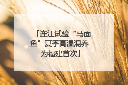 连江试验“马面鱼”夏季高温混养 为福建首次