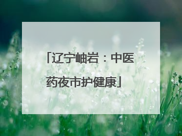 辽宁岫岩：中医药夜市护健康