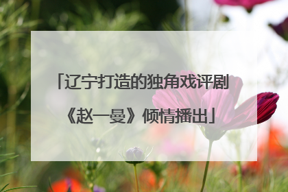 辽宁打造的独角戏评剧《赵一曼》倾情播出