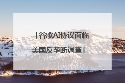 谷歌AI协议面临美国反垄断调查