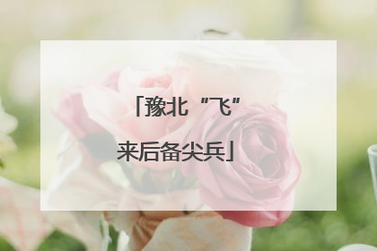 豫北“飞”来后备尖兵