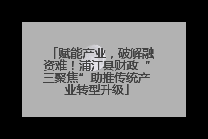 赋能产业，破解融资难！浦江县财政“三聚焦”助推传统产业转型升级