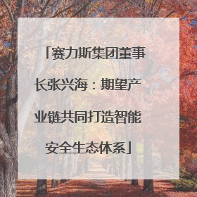赛力斯集团董事长张兴海：期望产业链共同打造智能安全生态体系