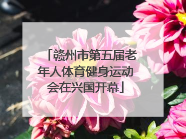 赣州市第五届老年人体育健身运动会在兴国开幕