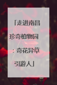 走进南昌珍奇植物园：奇花异草引游人