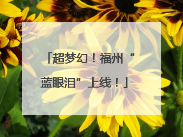 超梦幻！福州“蓝眼泪”上线！