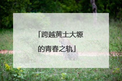 跨越黄土大塬的青春之轨