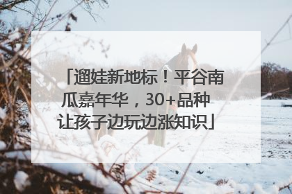 遛娃新地标！平谷南瓜嘉年华，30+品种让孩子边玩边涨知识