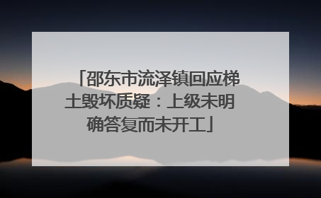邵东市流泽镇回应梯土毁坏质疑：上级未明确答复而未开工