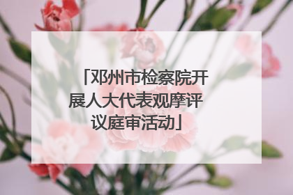 邓州市检察院开展人大代表观摩评议庭审活动