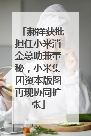 郝祥获批担任小米消金总助兼董秘，小米集团资本版图再现协同扩张