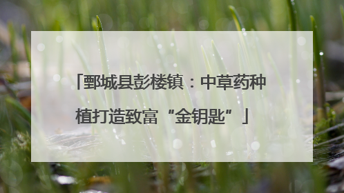鄄城县彭楼镇：中草药种植打造致富“金钥匙”