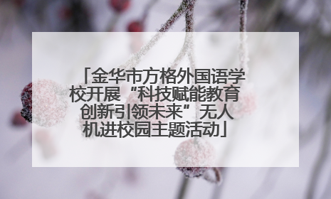 金华市方格外国语学校开展“科技赋能教育 创新引领未来”无人机进校园主题活动