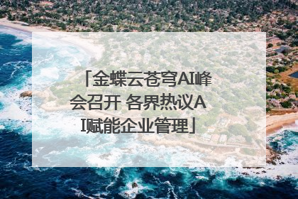 金蝶云苍穹AI峰会召开 各界热议AI赋能企业管理