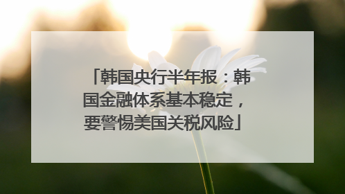 韩国央行半年报：韩国金融体系基本稳定，要警惕美国关税风险