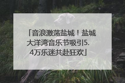 音浪激荡盐城！盐城大洋湾音乐节吸引5.4万乐迷共赴狂欢