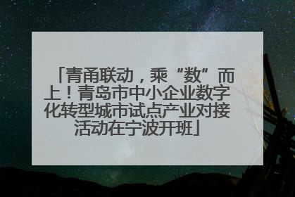 青甬联动，乘“数”而上！青岛市中小企业数字化转型城市试点产业对接活动在宁波开班