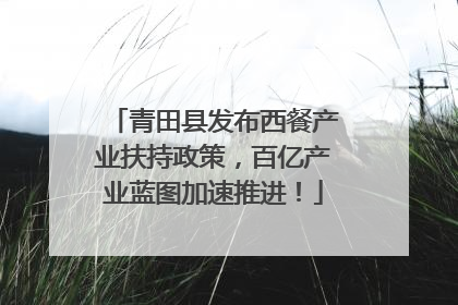 青田县发布西餐产业扶持政策，百亿产业蓝图加速推进！