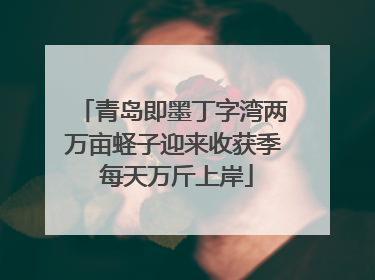 青岛即墨丁字湾两万亩蛏子迎来收获季 每天万斤上岸