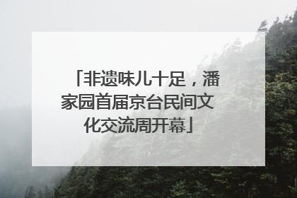 非遗味儿十足，潘家园首届京台民间文化交流周开幕