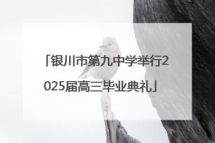 银川市第九中学举行2025届高三毕业典礼