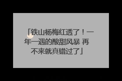 铁山杨梅红透了！一年一遇的酸甜风暴 再不来就真错过了