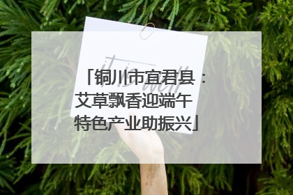 铜川市宜君县：艾草飘香迎端午 特色产业助振兴